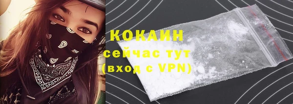 прущие грибы Белокуриха
