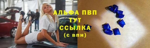 прущие грибы Белокуриха