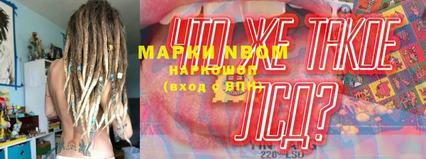 прущие грибы Белокуриха