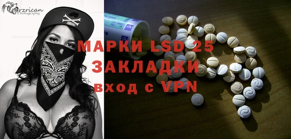 прущие грибы Белокуриха