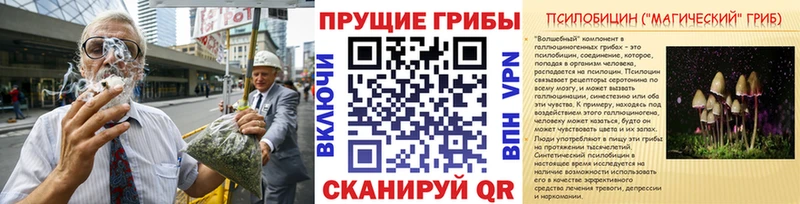 Псилоцибиновые грибы прущие грибы  OMG ссылка  Ельня 
